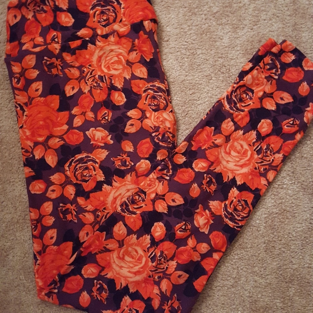 Worn once roses